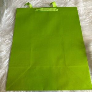 🩷5/$10 Lime Green gift  Bag